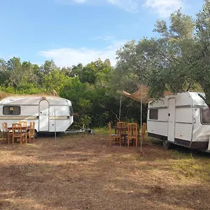https://aquariumi-jale-camping.albaniahotels.org